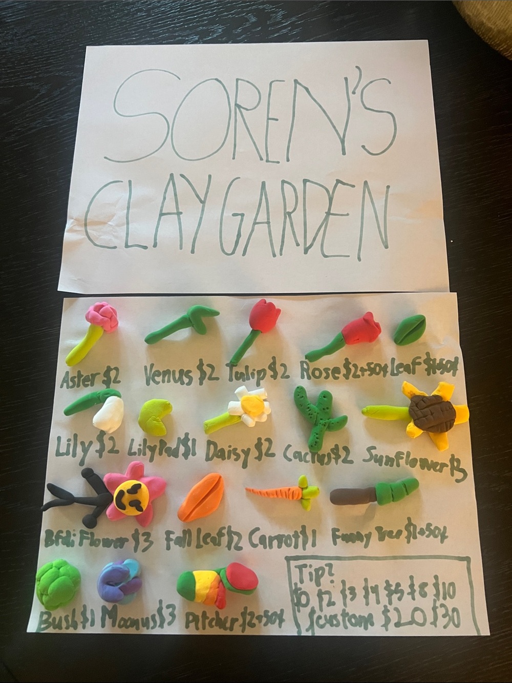 Handmade Soren’s Clay Garden Play Set - Assorted Bright Colors